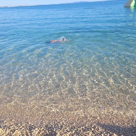 Lipa Mare Vir Apartman Kültér fotó